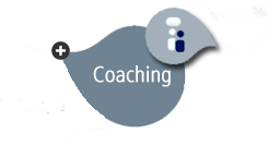 Datei:Iconcoaching.png