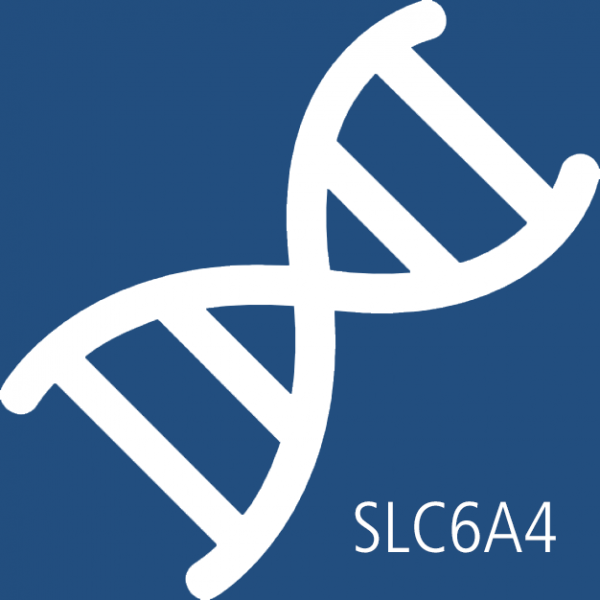 Datei:Slc6a4.png